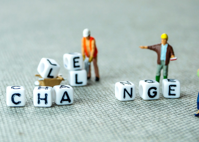 Navigating Organizational Change Tips for Leaders