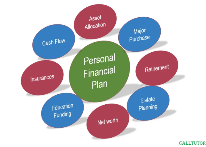 The Basics of Financial Planning for Young Professionals